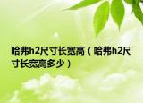 哈弗h2尺寸长宽高（哈弗h2尺寸长宽高多少）