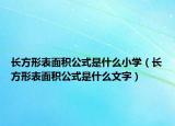长方形表面积公式是什么小学（长方形表面积公式是什么文字）