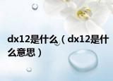 dx12是什么（dx12是什么意思）