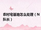 农村宅基地怎么处理（N队长）
