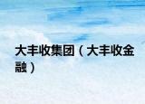 大丰收集团（大丰收金融）