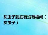 灰虫子到底有没有被阉（灰虫子）