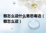 曌怎么读什么意思粤语（曌怎么读）
