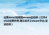 完美dota2如何用steam启动项（打开dota2完美世界,提示连不上steam平台,没法启动）