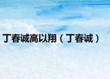 丁春诚高以翔（丁春诚）