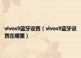 vivos9蓝牙设置（vivos9蓝牙设置在哪里）
