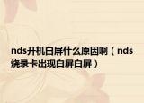 nds开机白屏什么原因啊（nds烧录卡出现白屏白屏）
