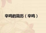 辛鸣的简历（辛鸣）