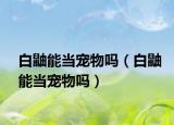 白鼬能当宠物吗（白鼬能当宠物吗）