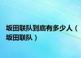 坂田联队到底有多少人（坂田联队）
