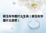 碧玉年华是什么生肖（碧玉年华是什么意思）