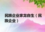 民族企业家龙自生（民族企业）