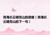 青海长云暗雪山的读音（青海长云暗雪山的下一句）