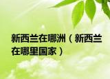 新西兰在哪洲（新西兰在哪里国家）