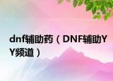 dnf辅助药（DNF辅助YY频道）