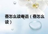 蹇怎么读粤语（蹇怎么读）
