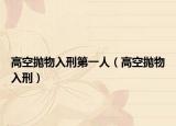 高空抛物入刑第一人（高空抛物入刑）
