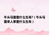 牛头马面是什么生肖?（牛头马面来人家是什么生肖）
