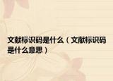 文献标识码是什么（文献标识码是什么意思）