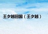 王夕越回国（王夕越）