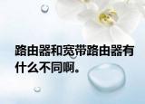 路由器和宽带路由器有什么不同啊。