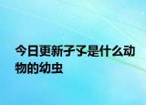 今日更新孑孓是什么动物的幼虫
