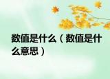 数值是什么（数值是什么意思）