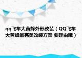 qq飞车大黄蜂外形改装（QQ飞车大黄蜂最完美改装方案 要理由哦）