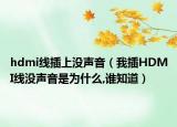 hdmi线插上没声音（我插HDMI线没声音是为什么,谁知道）