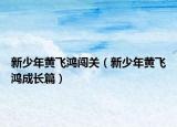新少年黄飞鸿闯关（新少年黄飞鸿成长篇）