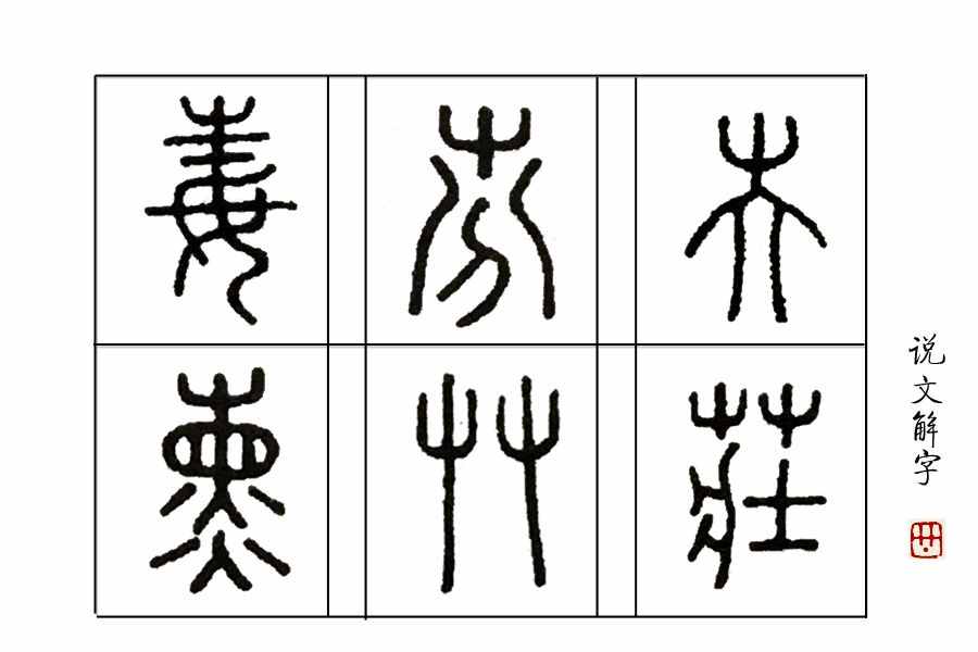 学汉字：你知道了“又双叒叕”，那你知道“屮艸芔茻”吗？