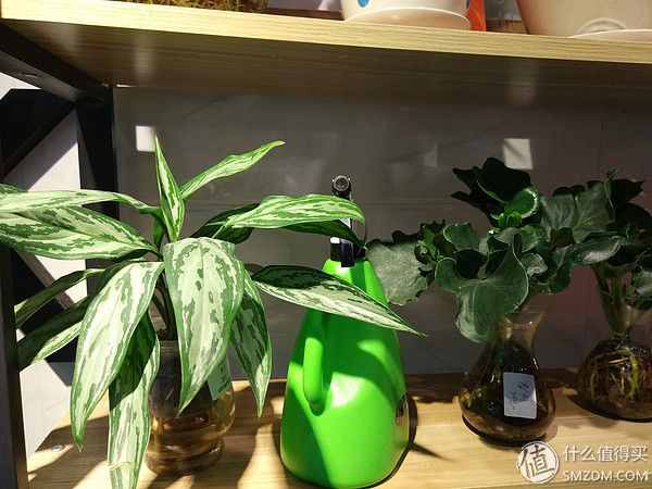 降频，阉割配置是小米的新成长吗？——小米5s深度体验测评！