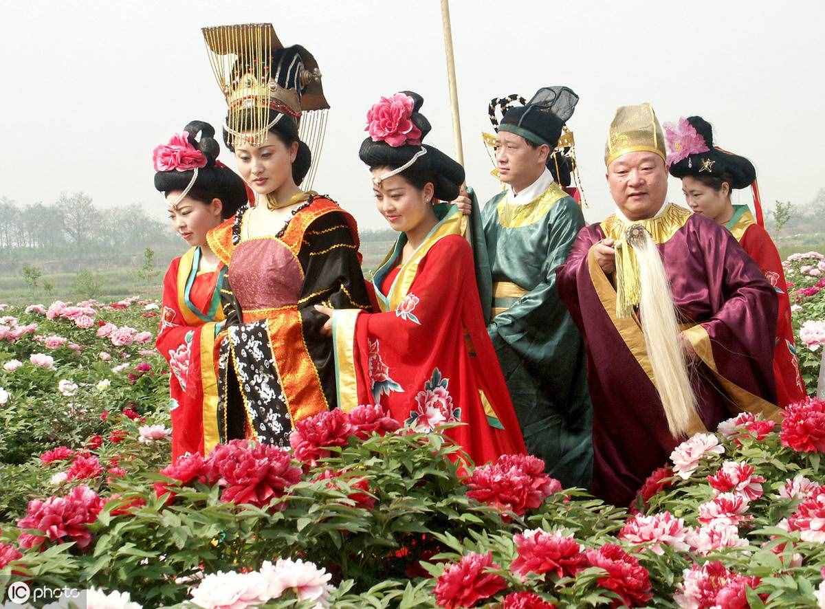 黄台之瓜什么意思？看完这两个典故，不言自明