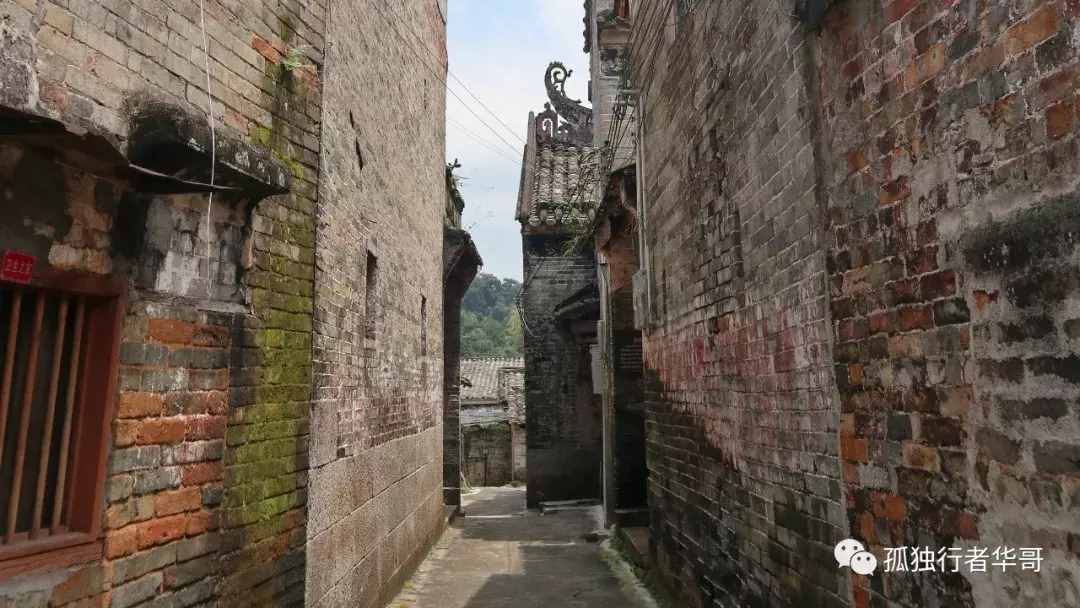游记“岭南第一村“杨池古村