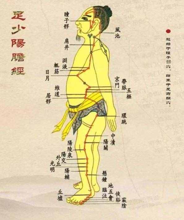 排毒养肝，养生第十一条经脉：足少阳胆经