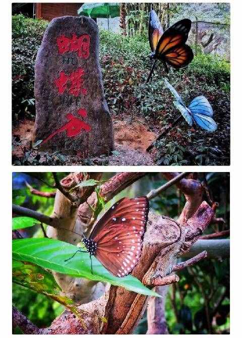 珠海附近竟有个“九寨沟”仙境！2小时即达，已列入旅游清单！