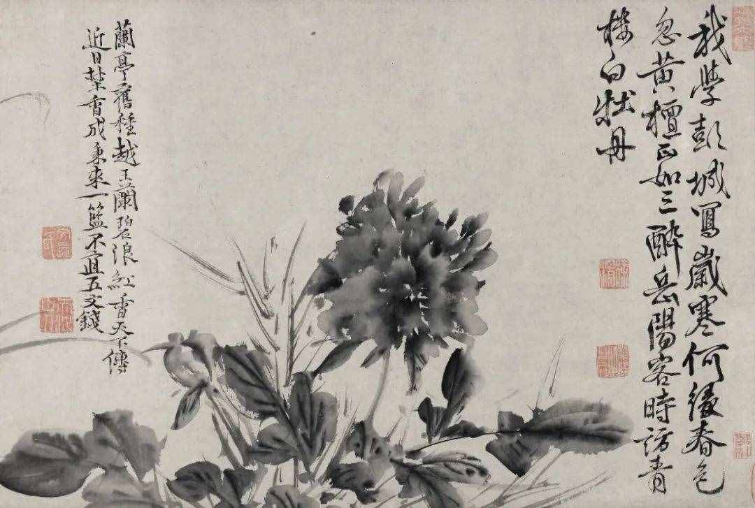 徐渭的墨花，这才叫玩水墨