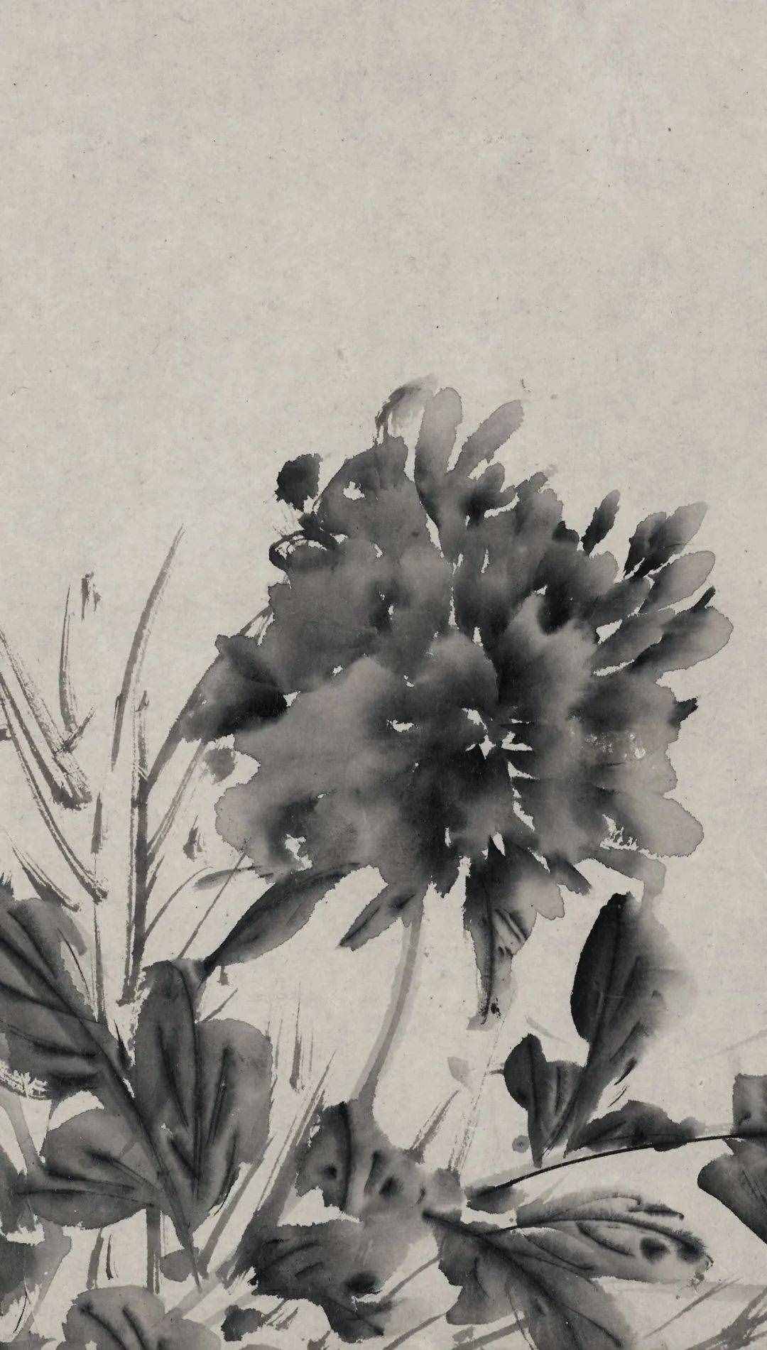 徐渭的墨花，这才叫玩水墨