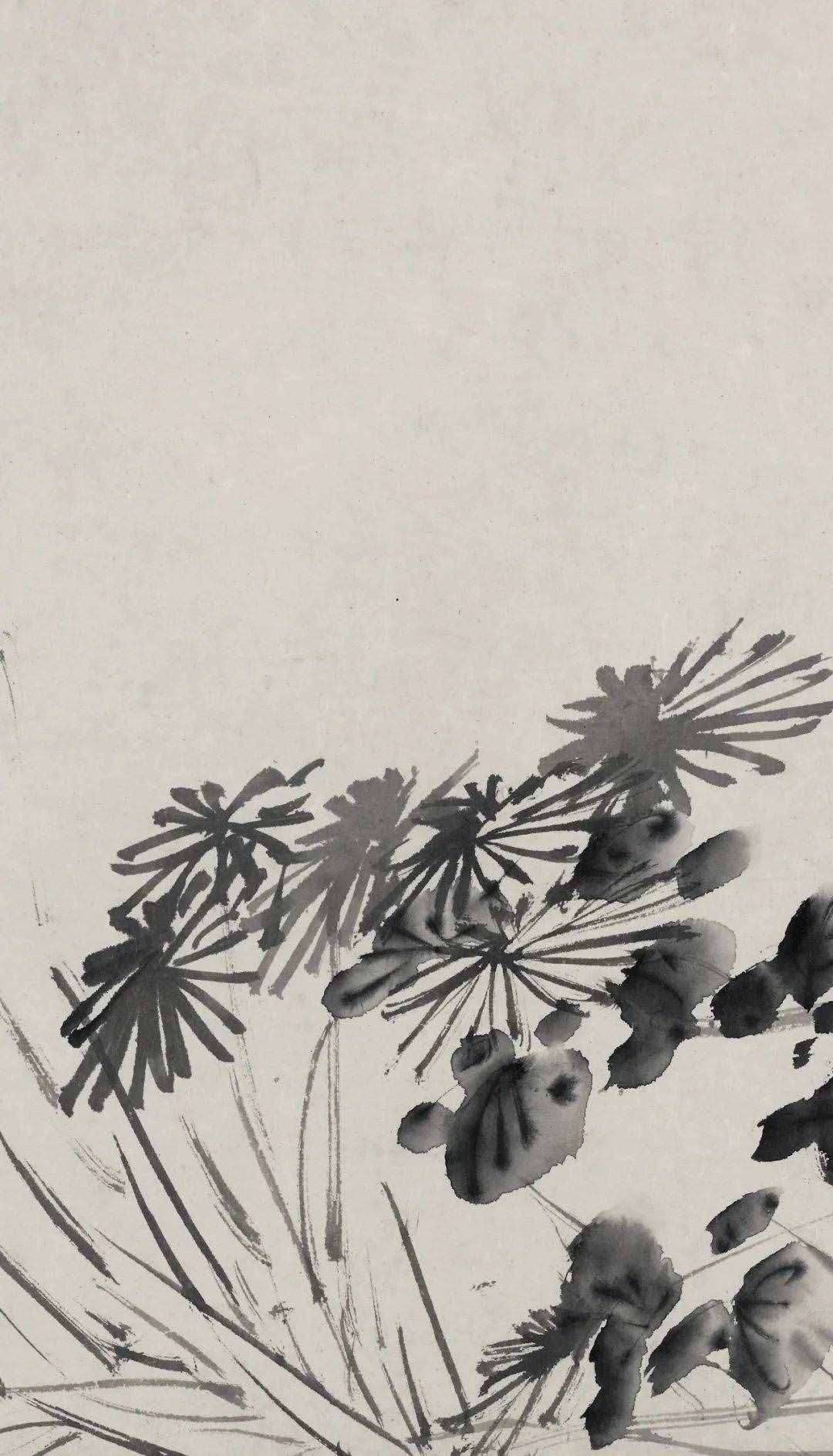 徐渭的墨花，这才叫玩水墨