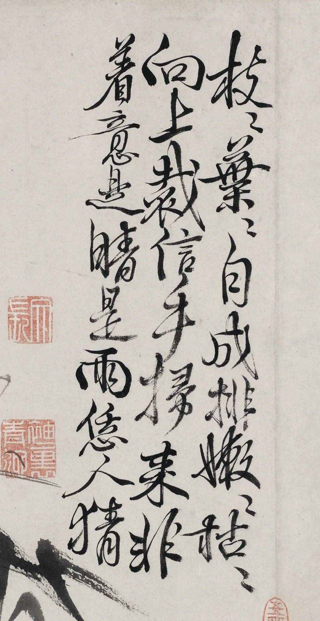 徐渭的墨花，这才叫玩水墨