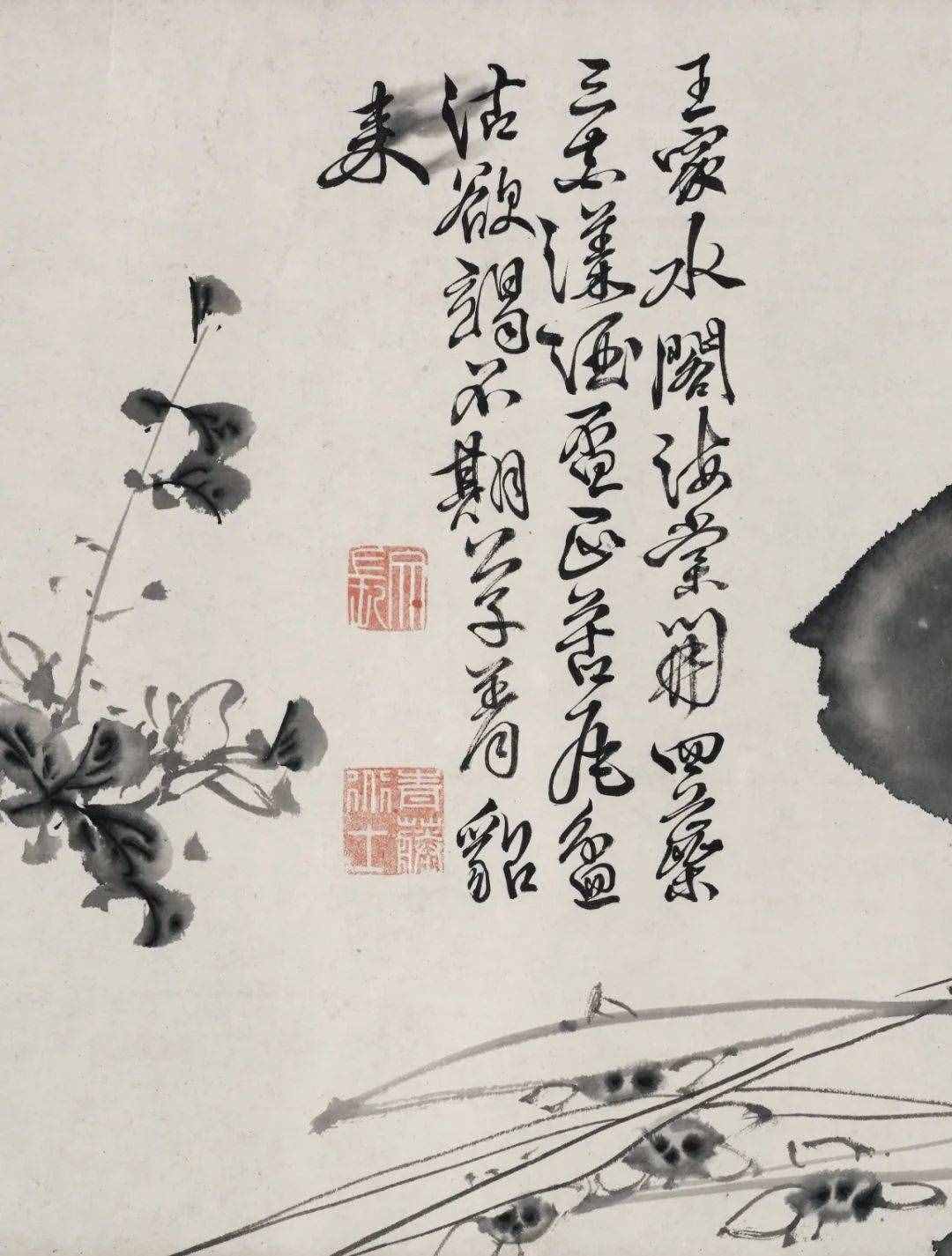 徐渭的墨花，这才叫玩水墨