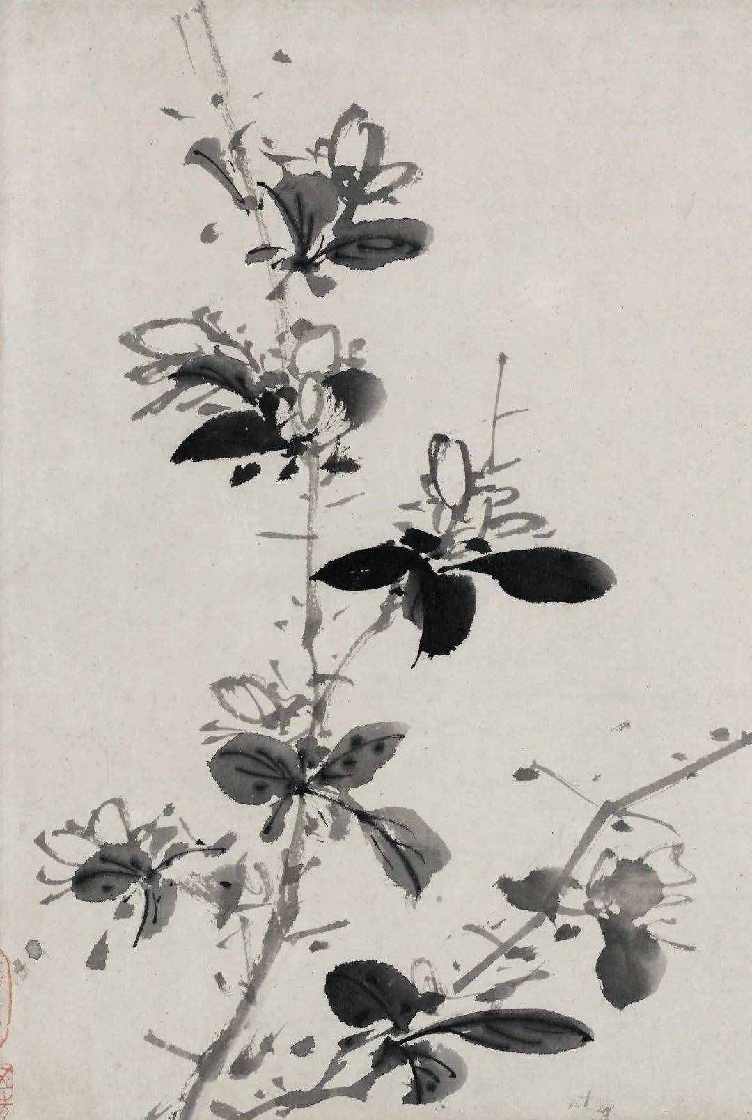 徐渭的墨花，这才叫玩水墨