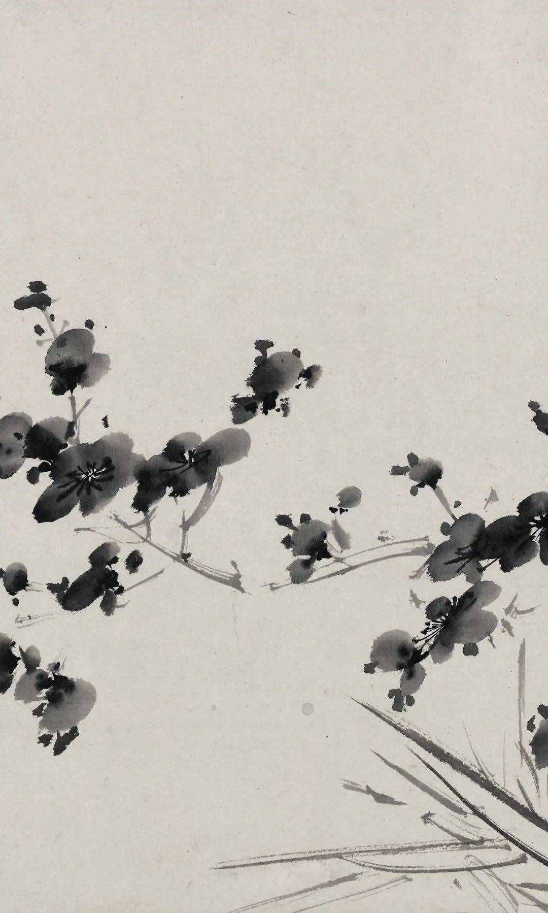 徐渭的墨花，这才叫玩水墨