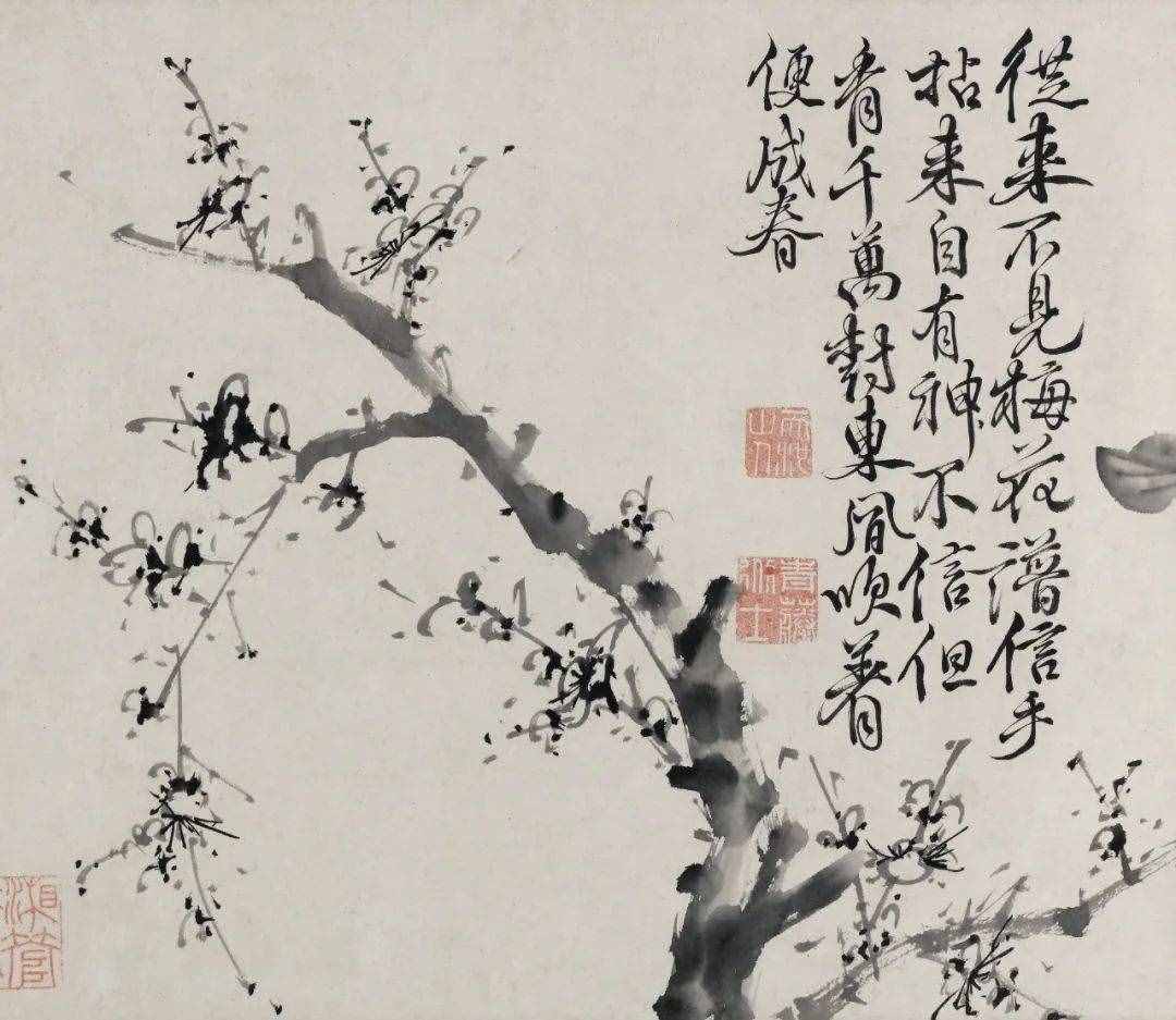 徐渭的墨花，这才叫玩水墨