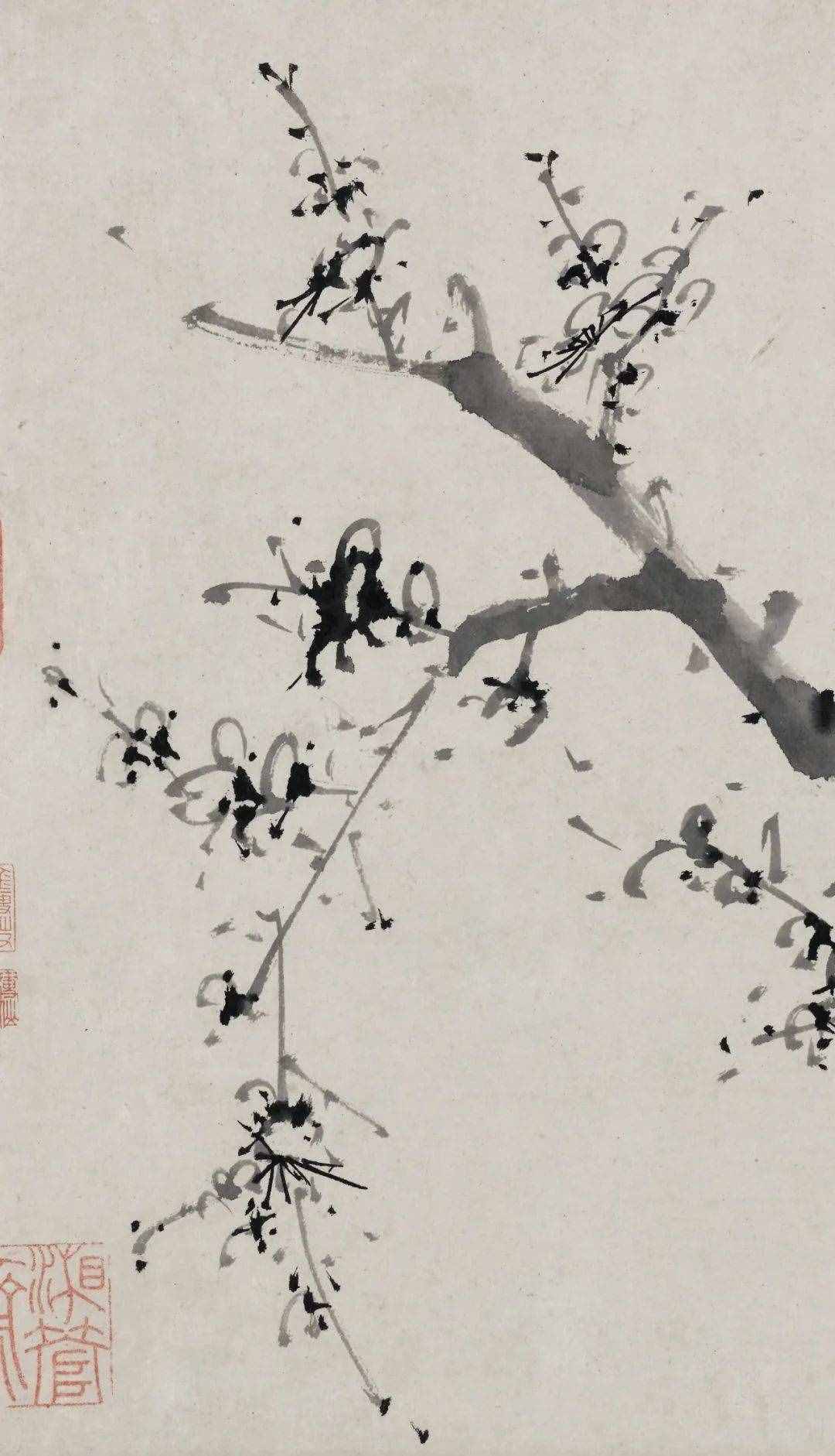 徐渭的墨花，这才叫玩水墨