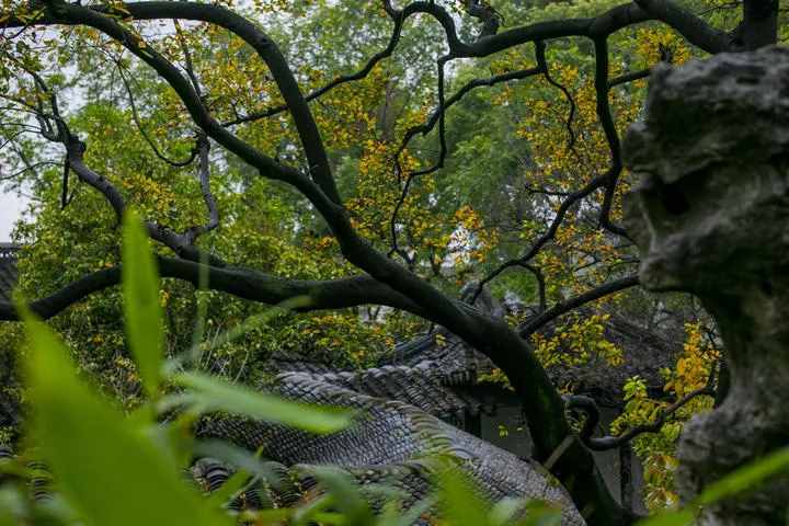 屋顶｜中国最传统的建筑之美