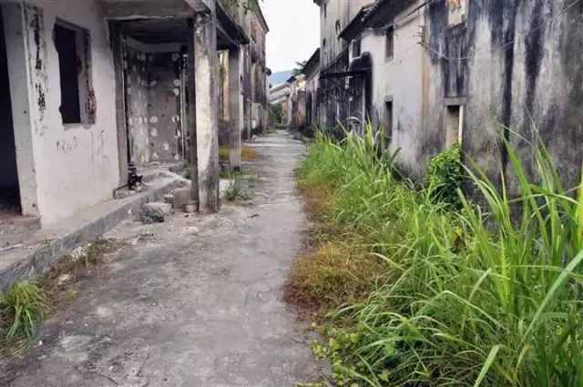 深圳最后的原始净土——坝光村