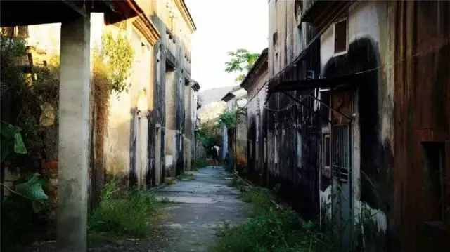 深圳最后的原始净土——坝光村