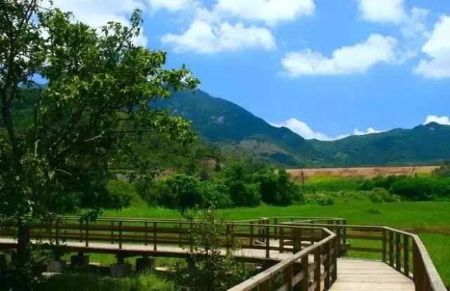 深圳最后的原始净土——坝光村