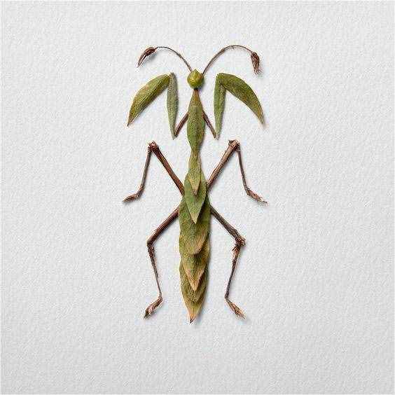 20款树叶拼贴画，幼儿园作业素材给你准备好了，假期陪孩子做起来